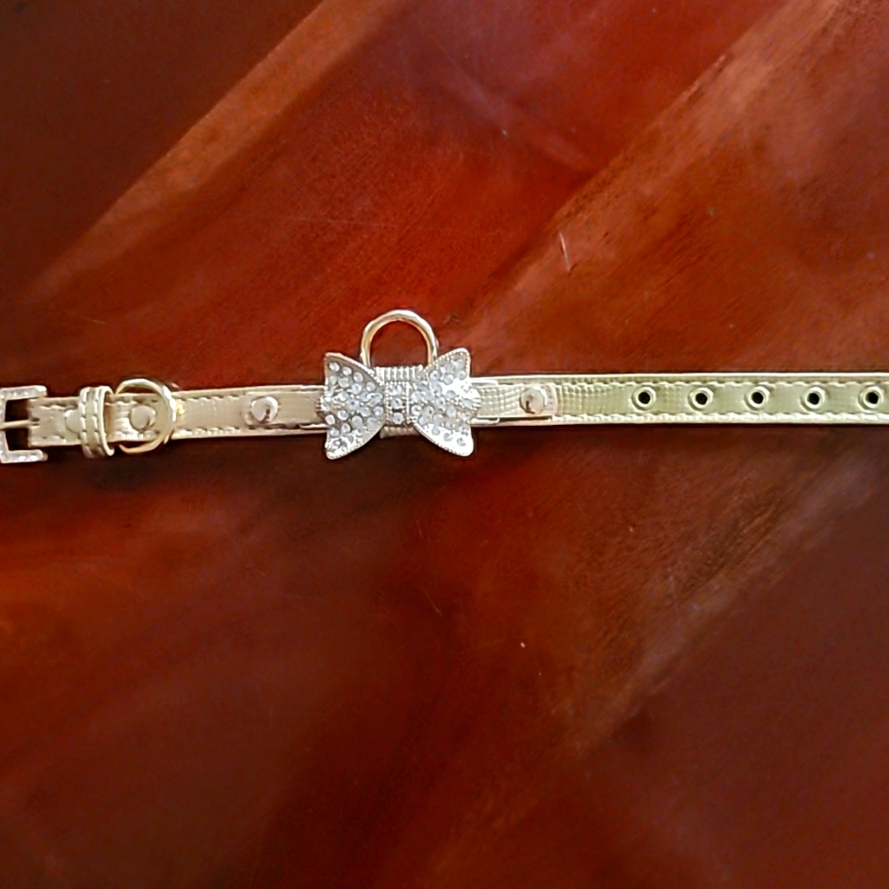 NWOT dog collar